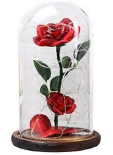 Load image into Gallery viewer, Light Fallen Petals