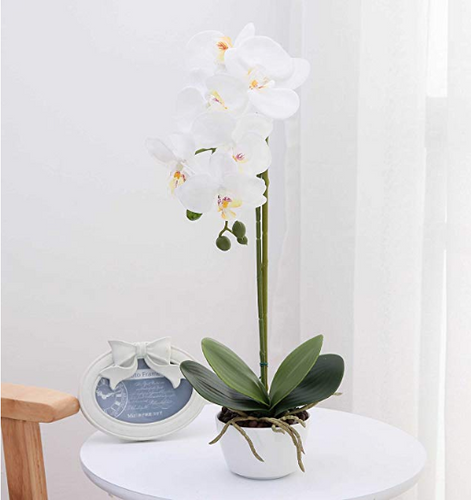 Artificial Orchid