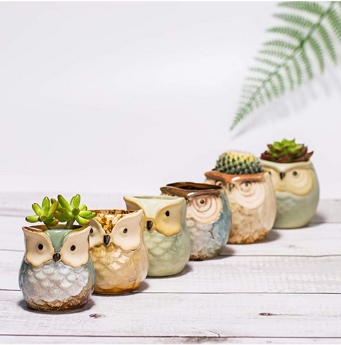 Ceramic Owl Planters